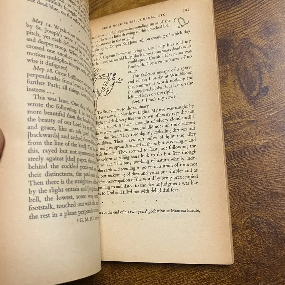 Gerard Manley Hopkins Poems & Prose W.H. Gardner Paperback
